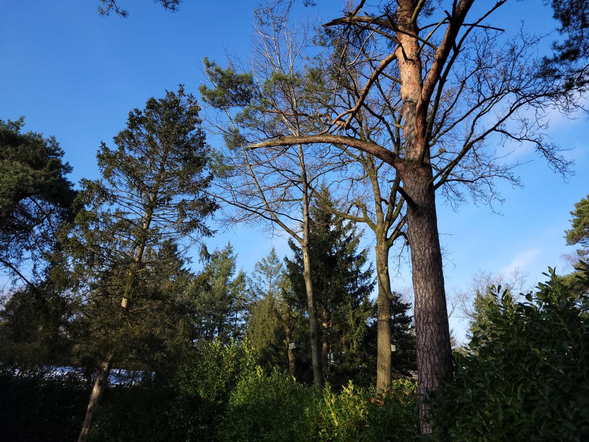 Secret Wellness Puur Natuur Holten Eksteriør bilde